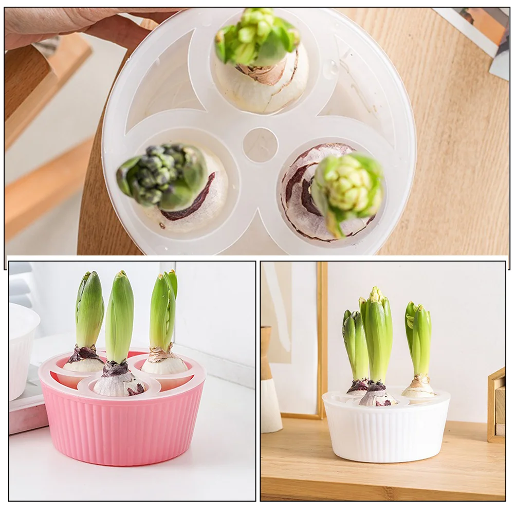 Tulip Perfume Flower Pot Planting Water Cup Planter Mini Succulent Pots Orchid Hydroponic Decoration