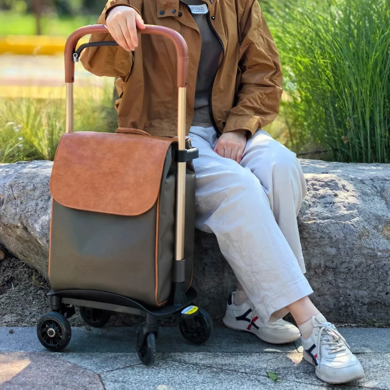 Waterproof Grocery Cart, Lightweight Shopping Trolley with Brake, Compact Oxford Storage Organizer, High-Stability Design