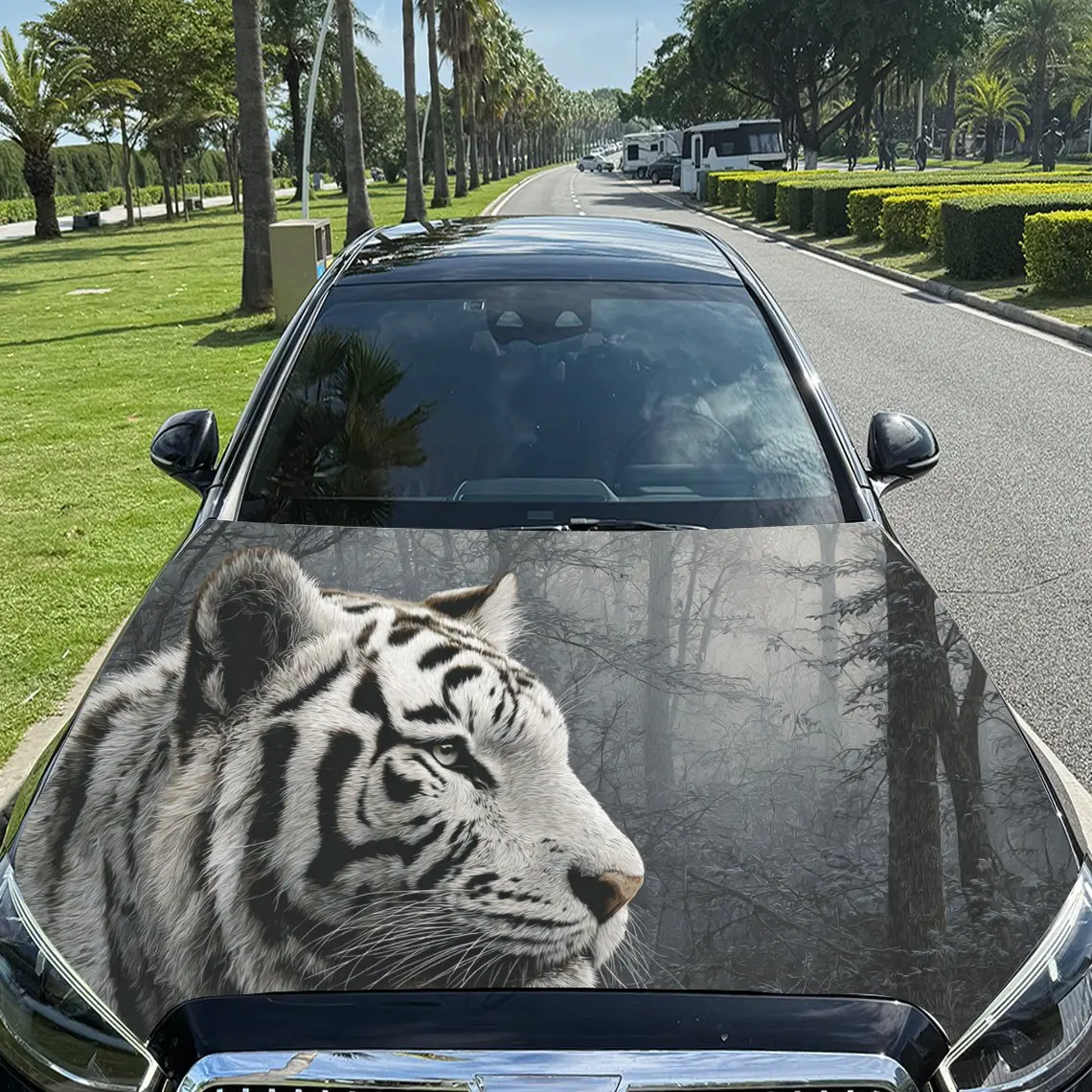 Car Decal White Tig…