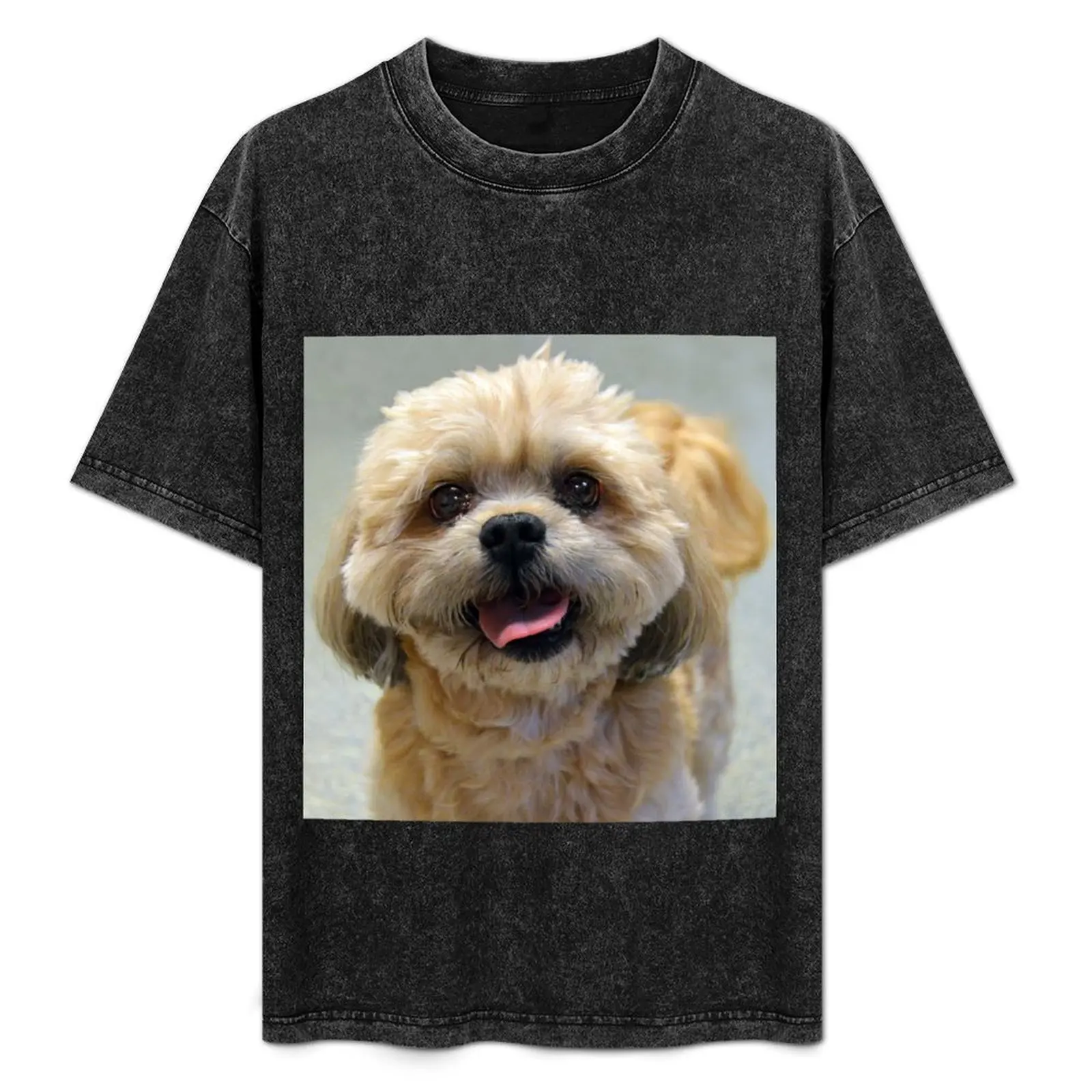 Smiling Shih Tzu Dog T-Shirt Festive Simple T-Shirt