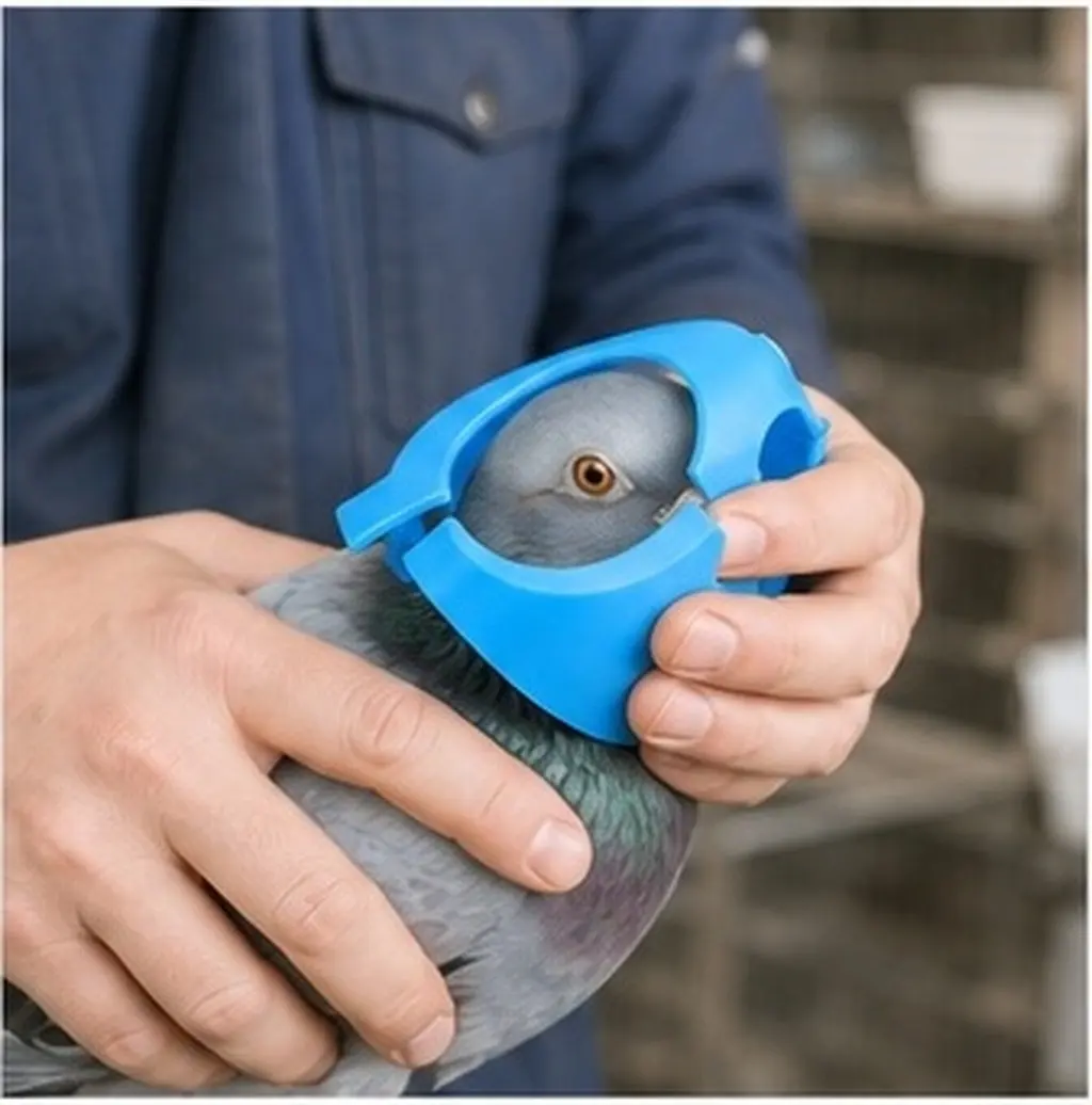 2Pcs Pigeon Fixator Heavy-Duty Plastic Bird Holding Tool for Feeding Grooming Veterinary Care Parrot Pigeon Supplies