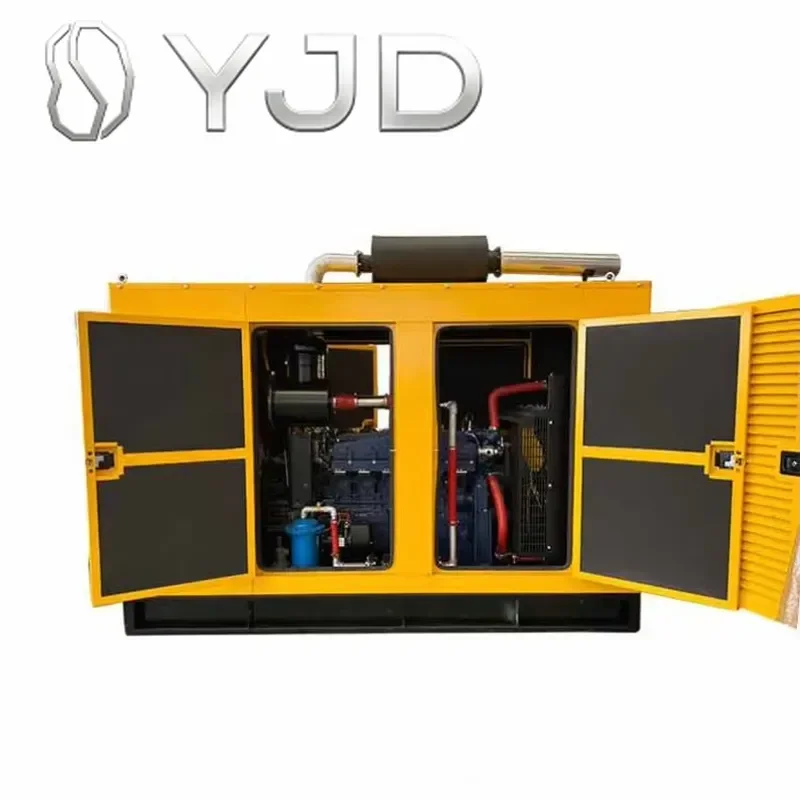 JUNWEI CHINA 5KW 1 Year Warranty Natural LPG Generator 24V DC Electric Start Water Cooled 50/60Hz