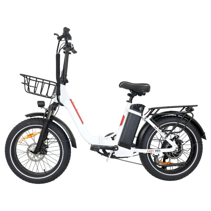 Off-road Electric Bicycle 250W 500W 1000W High Speed Motor Electric Bike 48V13Ah Removable Battery Fat Tire 20inch Ebike EUStock