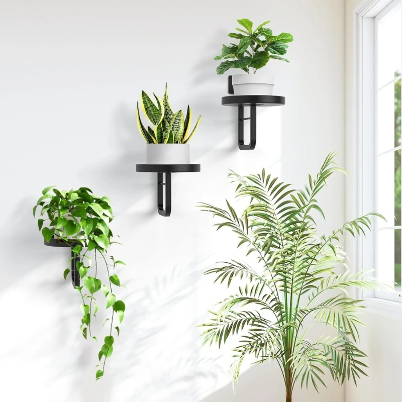 Decorative Metal Plant Shelf For Openings Dividers And Vertical Cultivation high quality