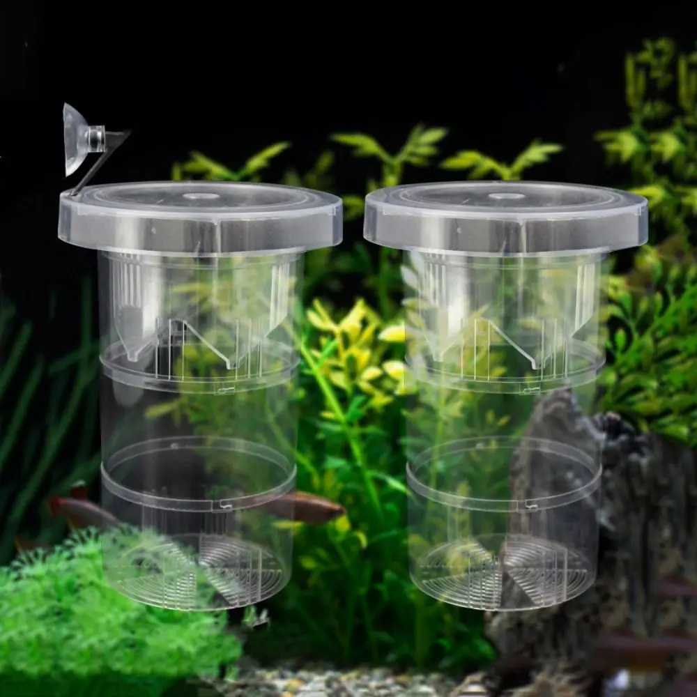 Suction Cup Floating Hatching Box Semi-transparent Detachable Fish Tank Incubator Plastic Guppy Breeding Box