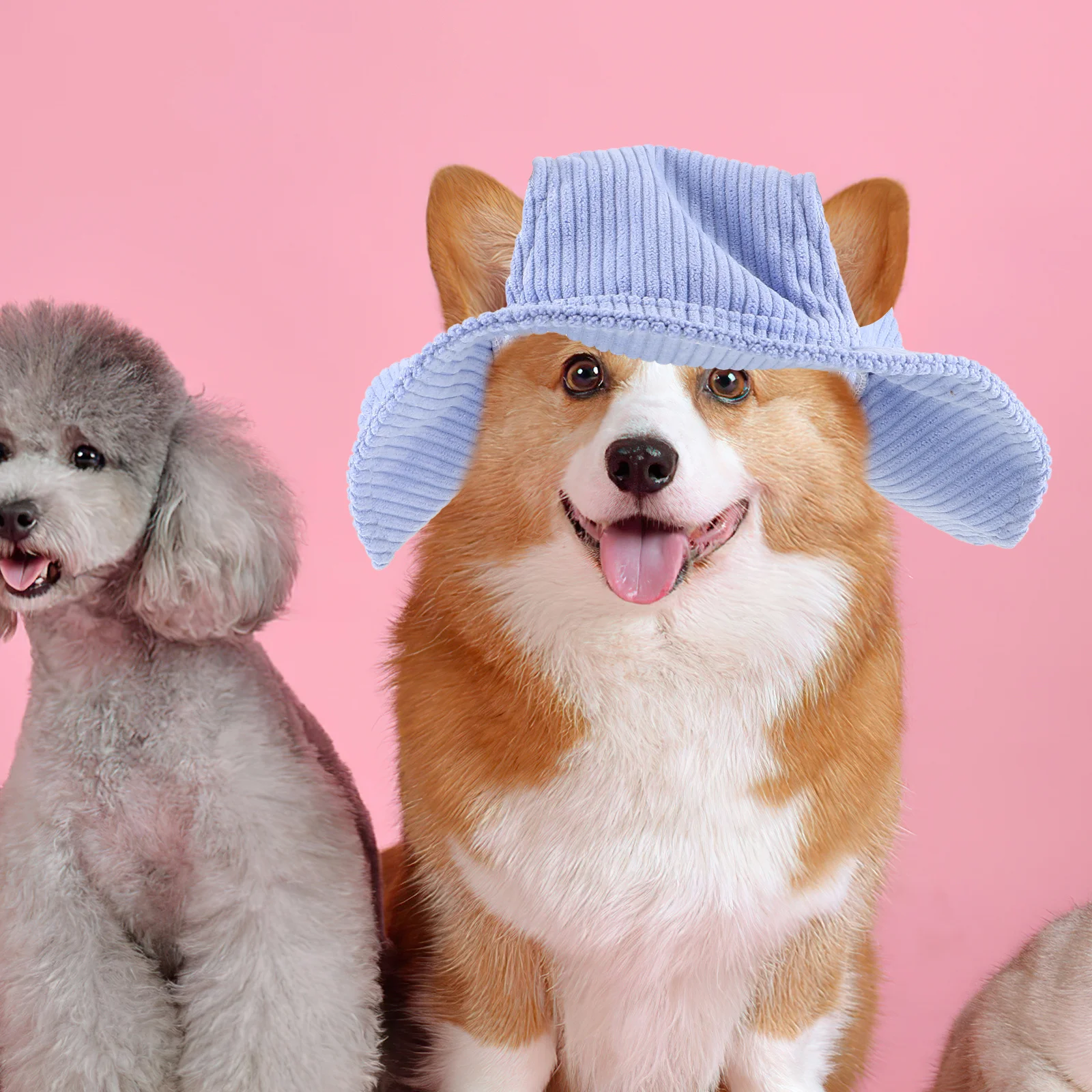 1-pcs-animal-de-estimacao-com-buracos-de-orelha-balde-ajustavel-chapeu-para-caes-pequenos-gatos-protecao-solar-caminhadas-ao-ar-livre-praia-pesca-cao-leve