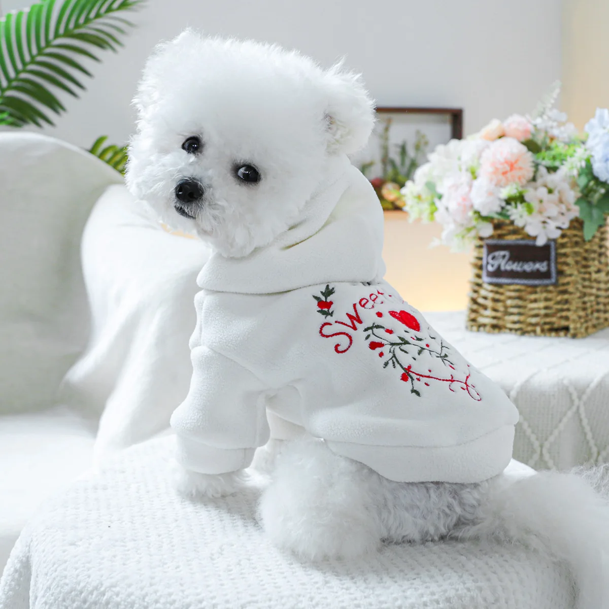 1PC Pet Clothing Spring and Autumn Thick Velvet White Sweetheart Hoodie Hat Coat Suitable for Small and Medium sized Dogs