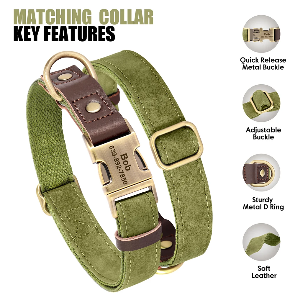 Thumbnail 2 - #1 Cheap Pet Collars Worth Buying