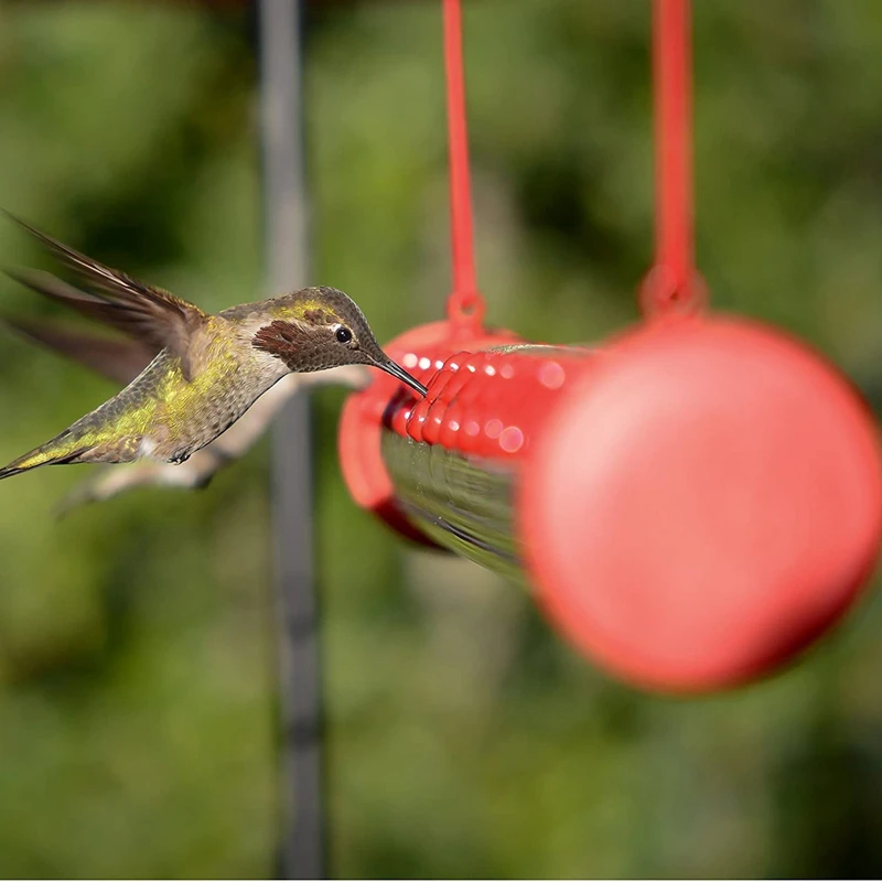 Vogel häuschen mit Loch Vogel fütterung transparentes Rohr einfach zu bedienende Vogel häuschen Dekoration