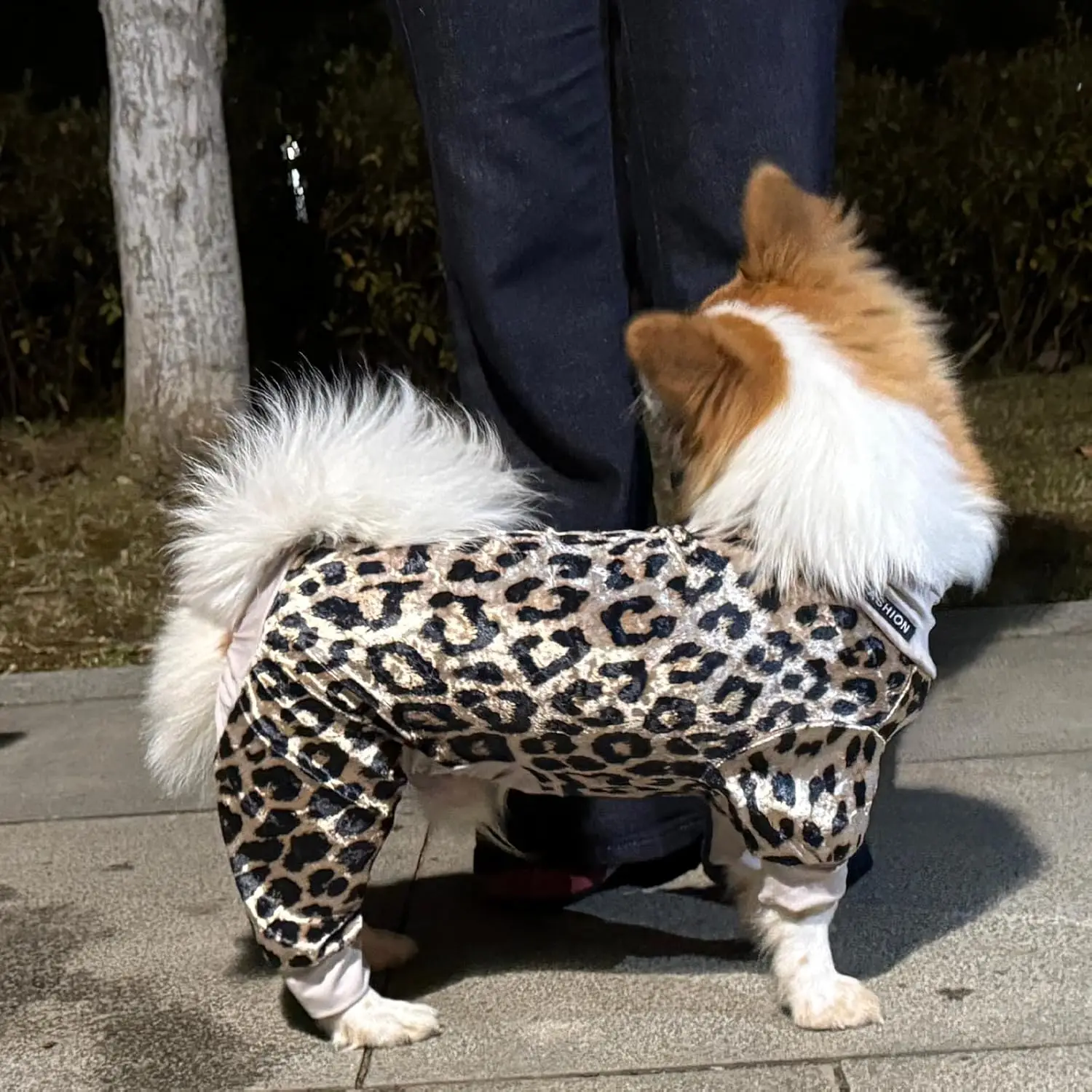 

Уютный велюровый комбинезон-пижама с леопардовым принтом для собак: эластичный, с высоким воротником, мягкий, дышащий, для маленьких и средних пород.