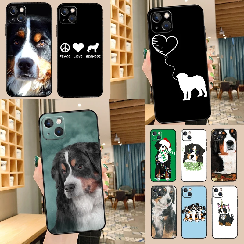 Funny Bernese Mount… - image