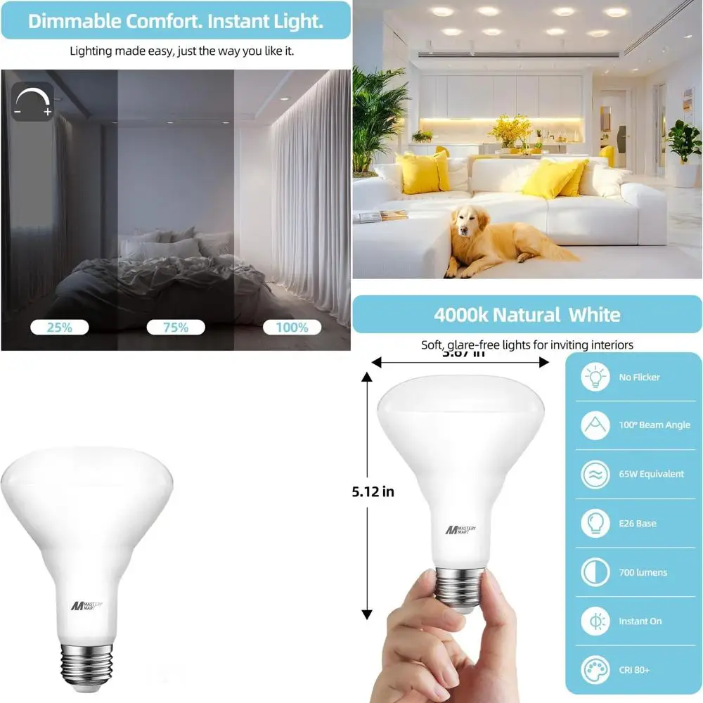 

Energy Efficient 36-Pack BR30 LED Bulbs, 65W, 4000K, 700 Lumens, Dimmable, Neutral White, Recessed Light Fixtures