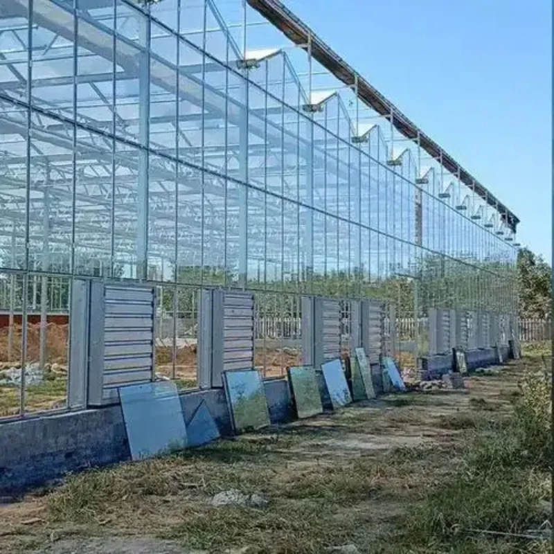 

Customized greenhouseGlass Greenhouse Large Commercial Cultivation Seedlings Vegetable Planting Trees and Flowers Seedling Beds