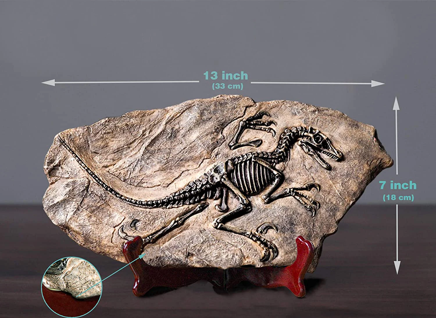 Fossil resin dinosaur skeleton model Statue bone Tyrannosaurus rex skeleton replica Fossil decoration bookshelf desktop