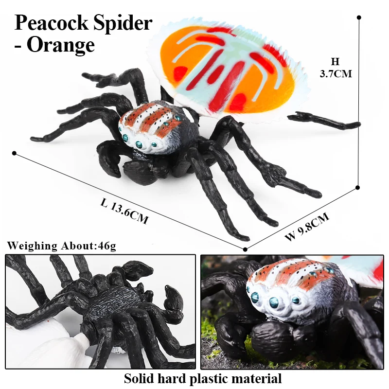 Oenux Zoo Forest Animals Model Wolf Deer Kangaroo Whale Starfish Parrot Action Figures Cake Topper Decoration Kids Education Toy