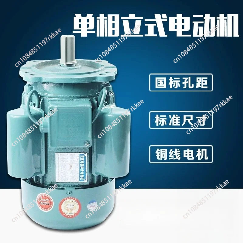 Single phase vertical 220V motor 750W/copper wire household large flange gear reducer motor