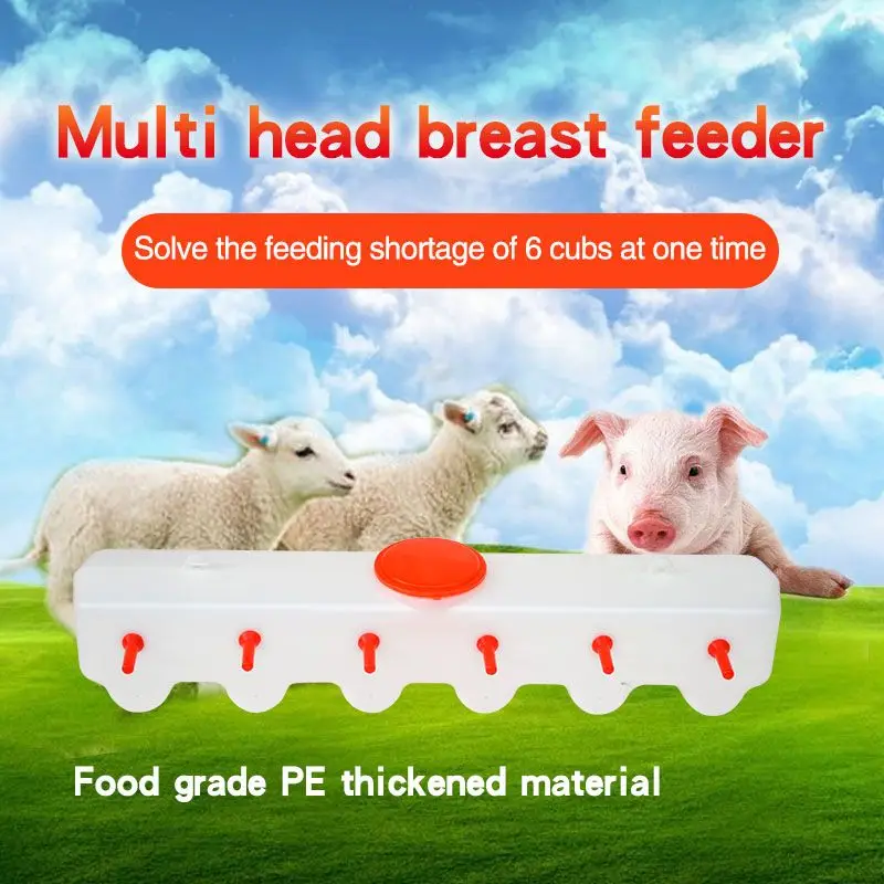 Multi-head milk feeder