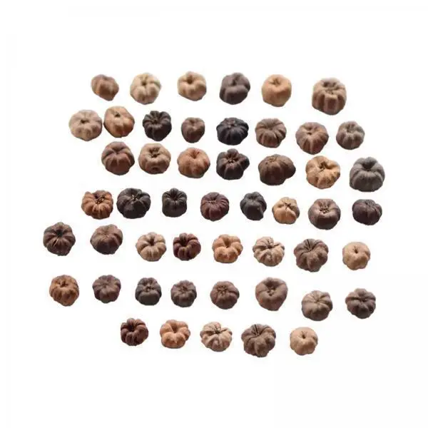 Mini Pumpkin Pods Dried Fruits Vase Filler DIY Craft Supply Autumn Potpourri Decorative for Thanksgiving Centerpieces