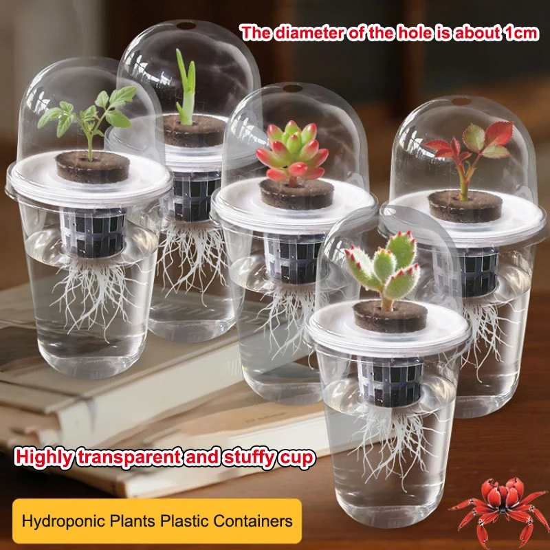 1/5Pcs Visible Clear Germination Cup Transparent Plastic Nursery Growing Box Indoor Garden Greenhouse Seed Starter Tray Gift