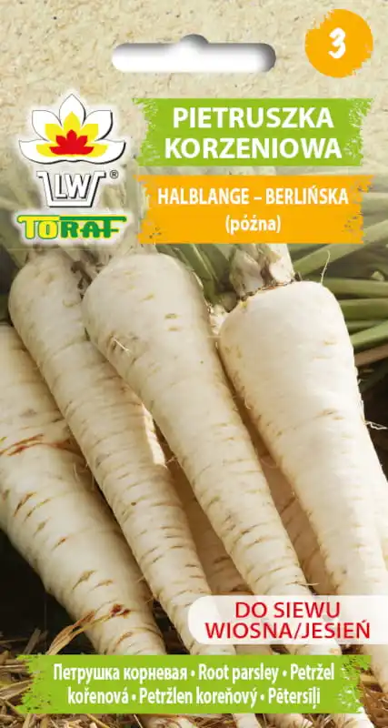 Halblange-Berlin root parsley 5G TORAF vegetable parsley seeds