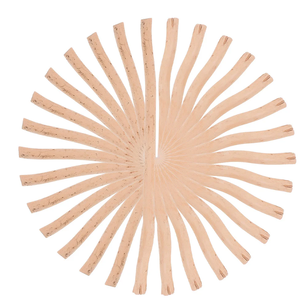 

50Pcs Natural Birch Twigs Branches DIY Crafting Decor Rustic Charm Elegant Design Landscaping Driftwood Pieces