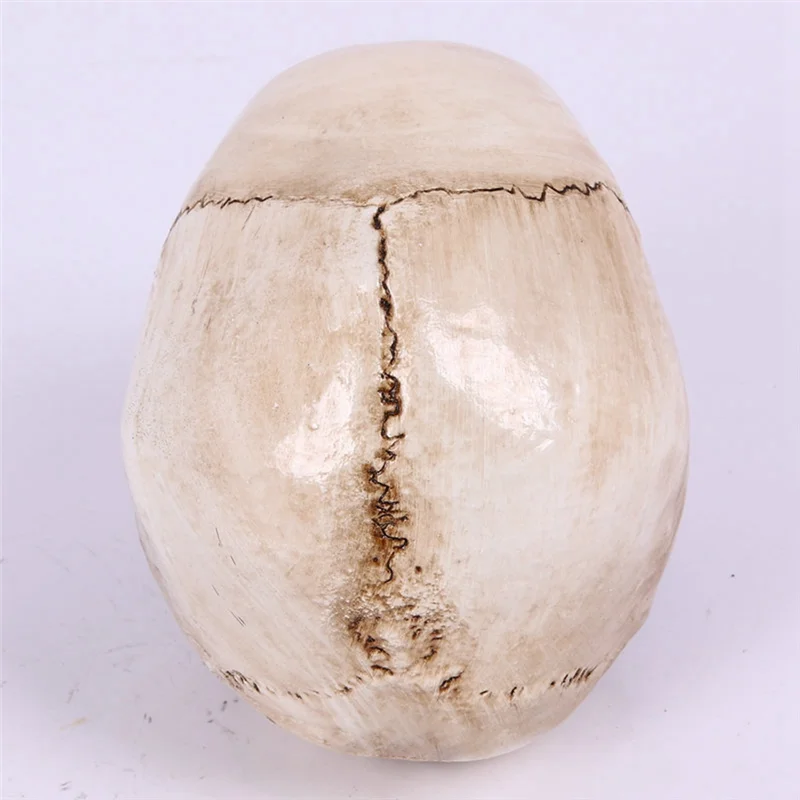 해골 장식 소품 해골 1:1 모델, 할로윈 스타일, 유령의 집, 홈 데코, 축제 용품