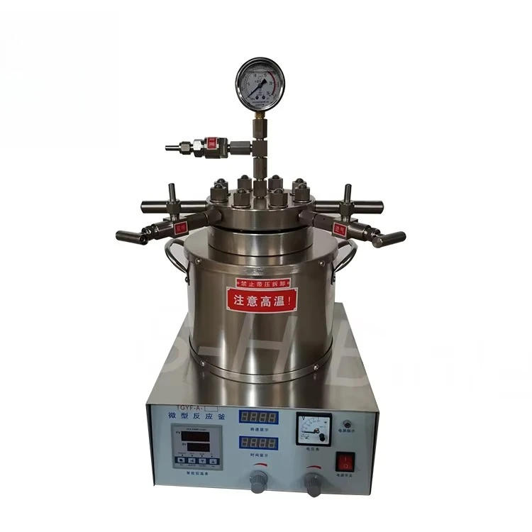 100ml Magnetic Reactor Pyrolysis Chemical Magnetic Stirred Reactor