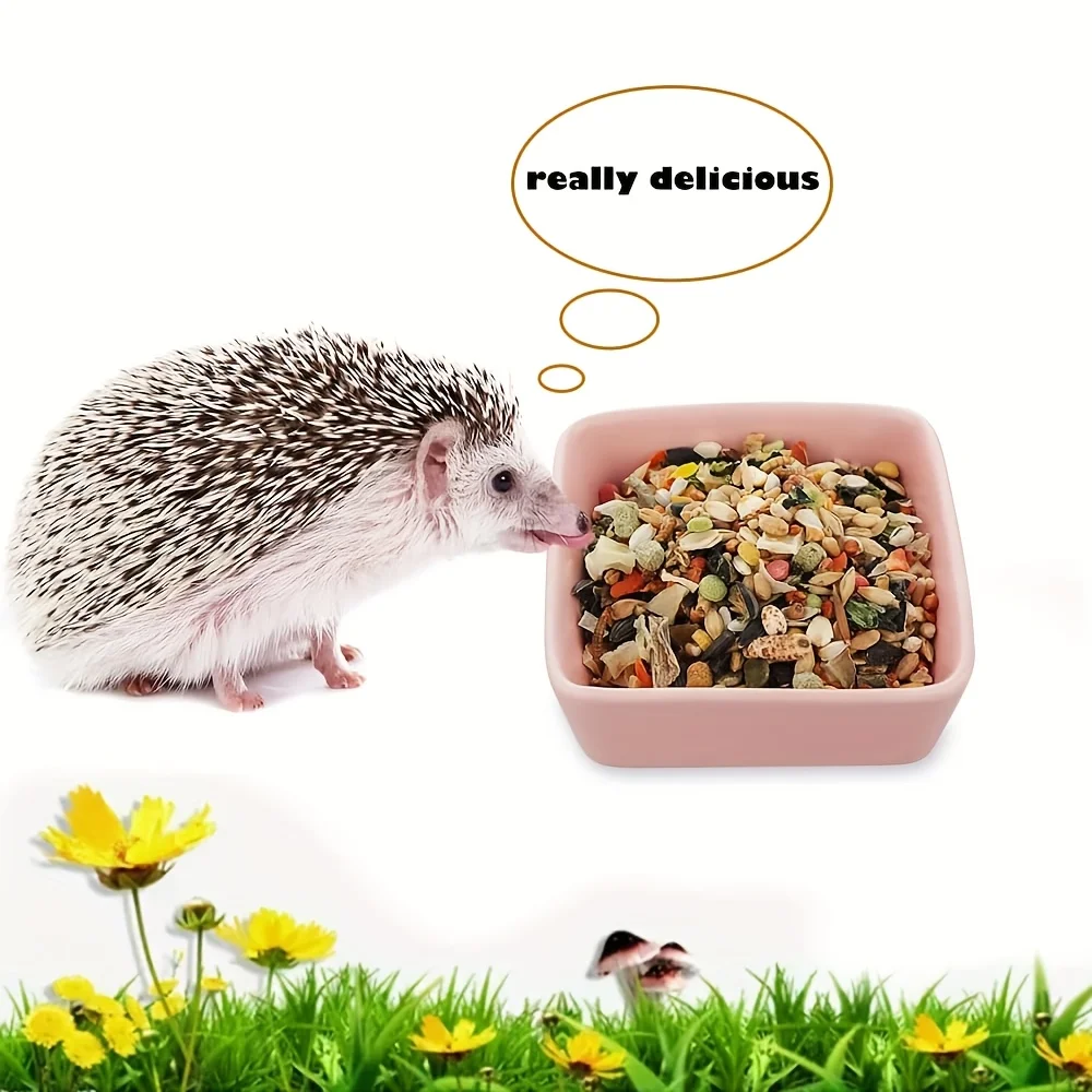Ceramic Small Animal Feeding Dish Food Water Bowl for Hamster Mice Rats Chinchilla Guinea Pig Rabbit Hedgehogs Squirrels