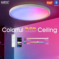 Smart TUYA Ceiling Light RGB Dimming APP Remote Control Bluetooth LED Light Home Interior Decoration Colour 32W 45W 47W AC 220V