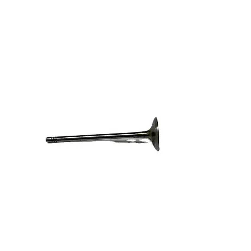 

stzt 11347633699 Auto Part Engine Intake Valve For BMW B38 B48 B38 OE 1134 7633 699