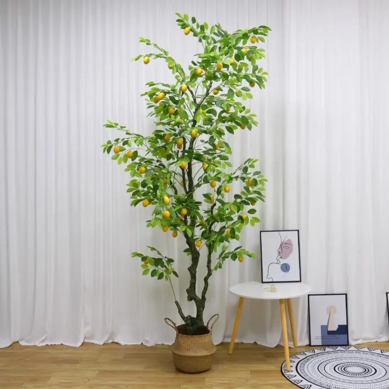 محاكاة شجرة الليمون، نباتات خضراء جديدة، نباتات شجرة الليمون الكبيرة بوعاء