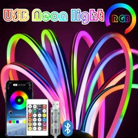 5V RGB Neon Strip Light 1M 2M 3M 5M USB Waterproof Flexible Ribbon Tape Neon Lights with Bluetooth Remote Control for Home Decor