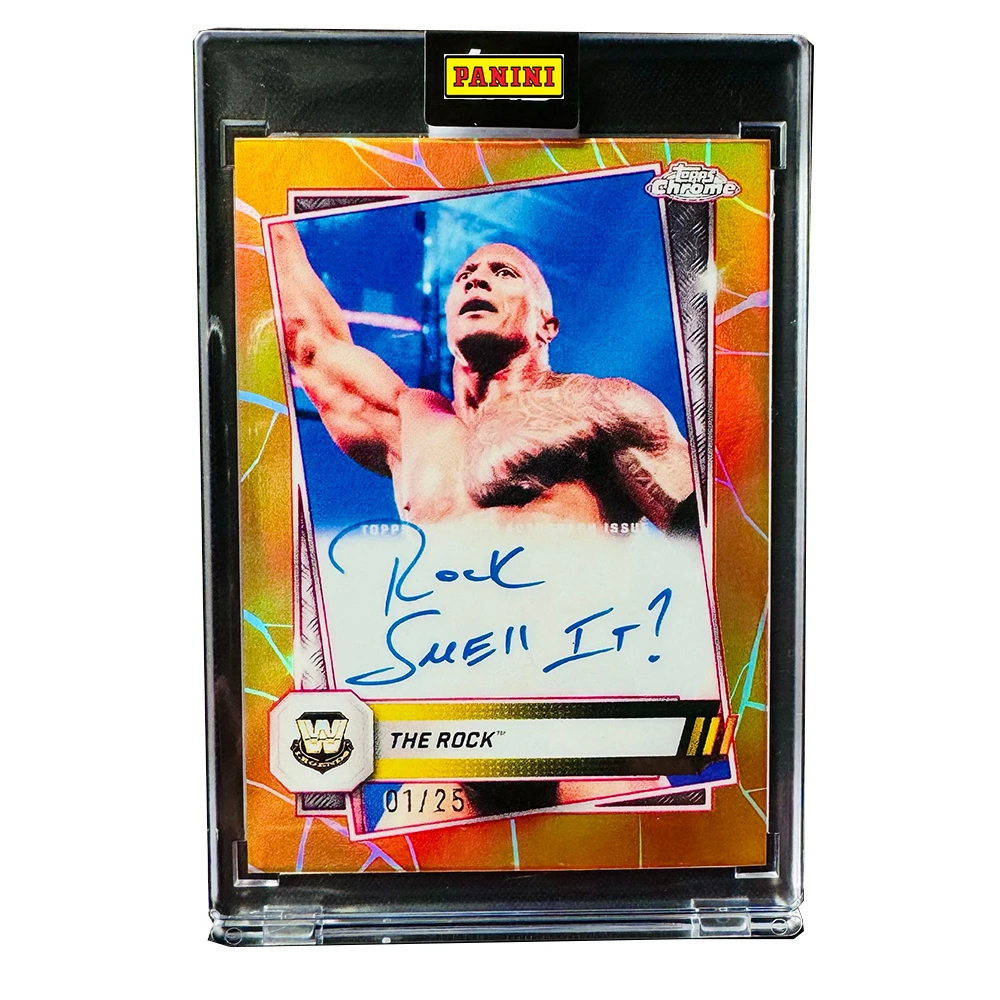 パニーニ DIY ストーンゴールド WWE 署名コレクションカードレンガアンダーテイカー自家製少年クリスマス誕生日プレゼントアクリル装飾品