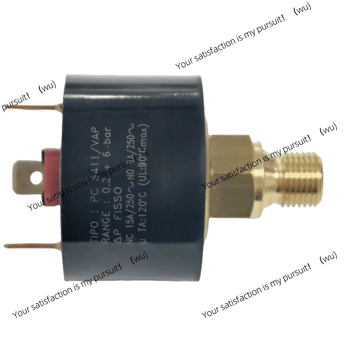 The new steam pressure switch PN5411, with a pressure range of 02-6 bar, is suitable for steam pressure control