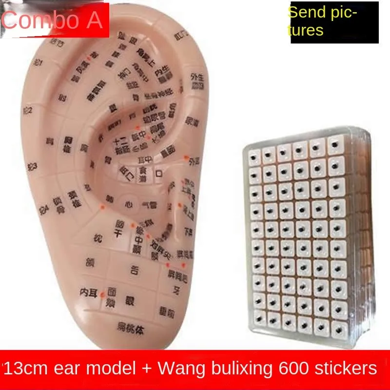 

600pcs/lot Ear Press Seed Auricular Vaccaria Seed With English Ear Probe Ear Model Acupuncture Needle Ear Bead Slimming Bod