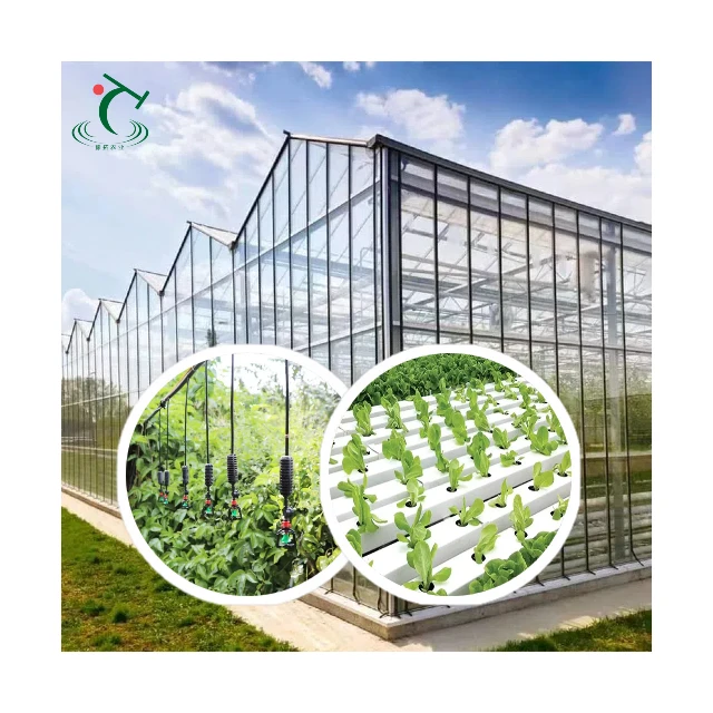 

Customized greenhouse10000m2 Agricultural Commercial /Multi- Span Glass Green House for Tomatoes/Cucumber/Peppers/Strawberry wit