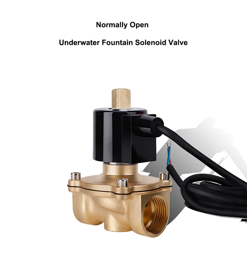 Detalle 2 de Electroválvula Normally Open Underwater Fountain Solenoid Valve Brass IP68 Waterproof DN10-DN50 Electric Solenoid Valve 12V 24V 220V Neumática