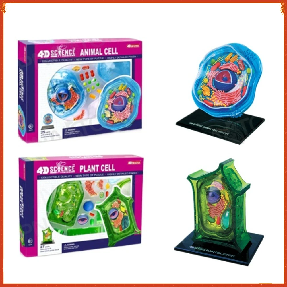 

4D MASTER Anatomy Model of Animal and Plant Cells Dimensional Toy Medical Education Equipment Detachable Parts Boys Girls Gifts