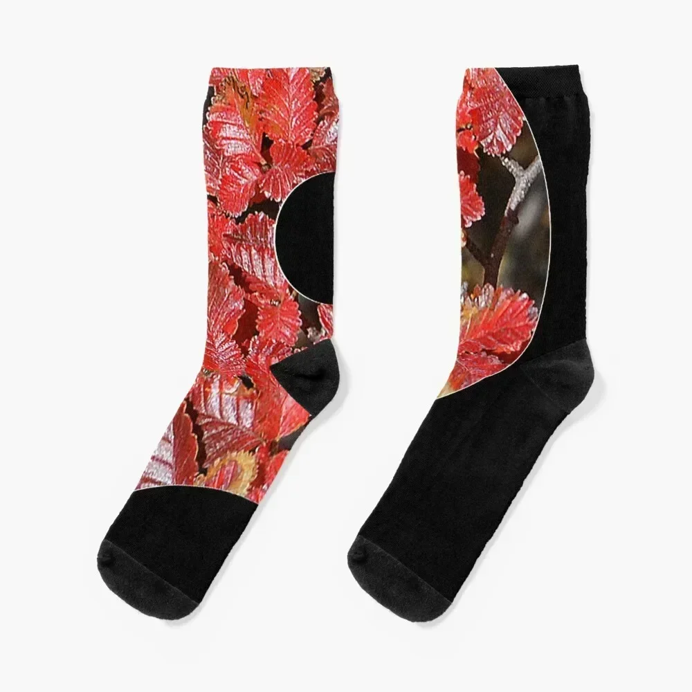 

autum leaves, idian summer Socks Running Antiskid soccer designer brand set Men's Socks Luxury Women's