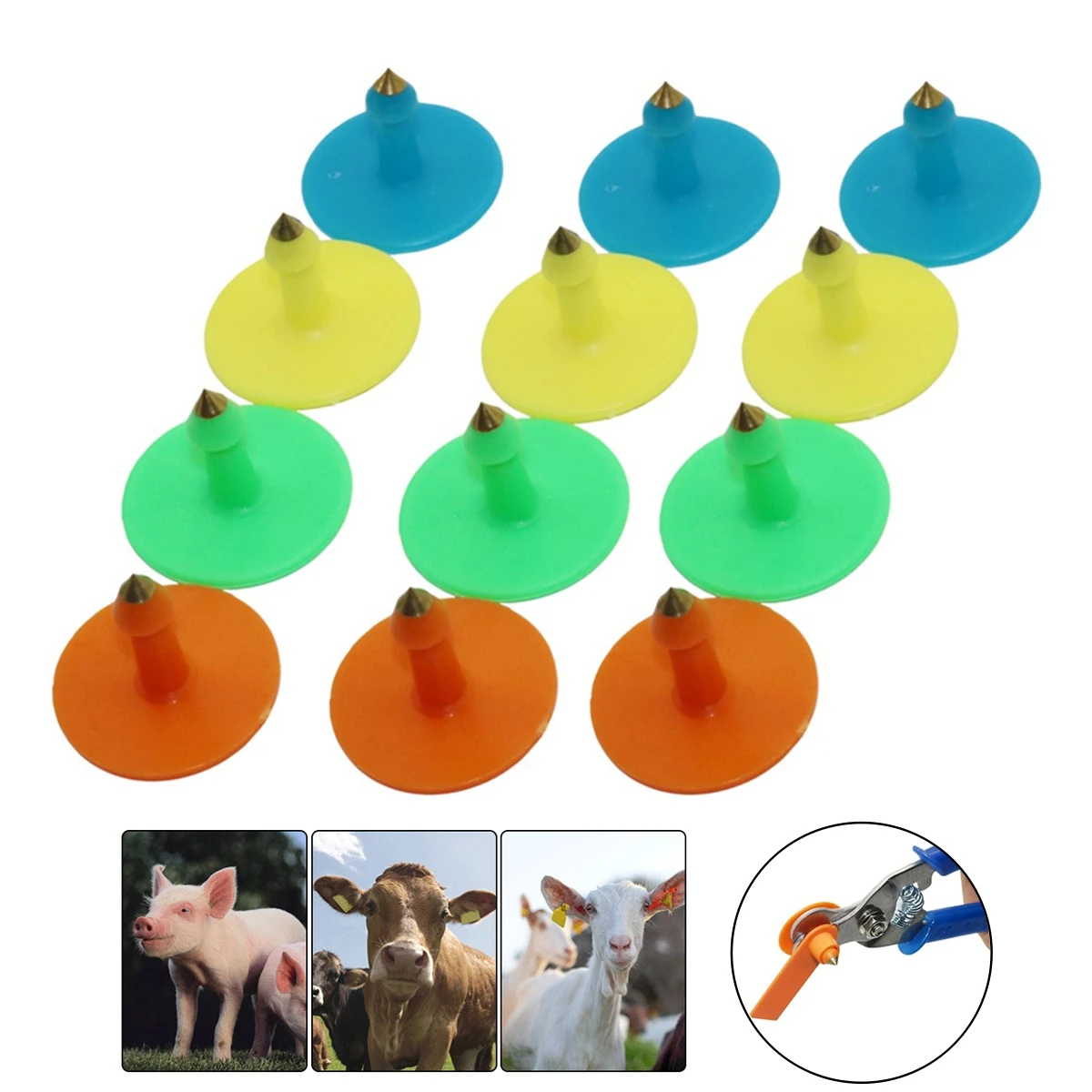 50Pcs Anti-Shedding Sheep Pig Cattle Ear Tag Male Nail Round Copper Head Thickened TUP Material Farm Animal Identification Tools
