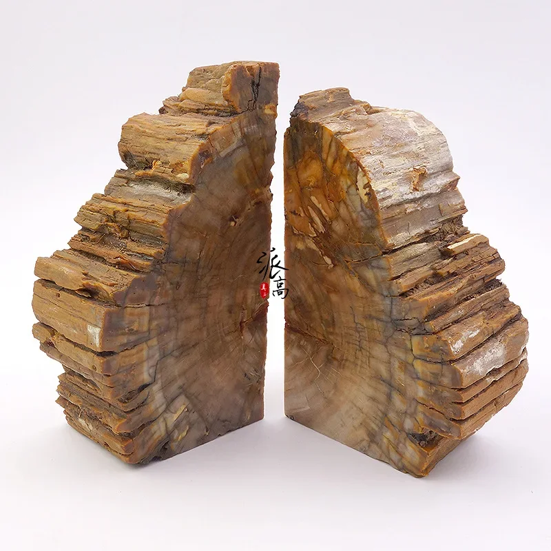 Natural wood fossil bookend book relies on book agate crystal bookcase model room study soft home decoration manufacturer