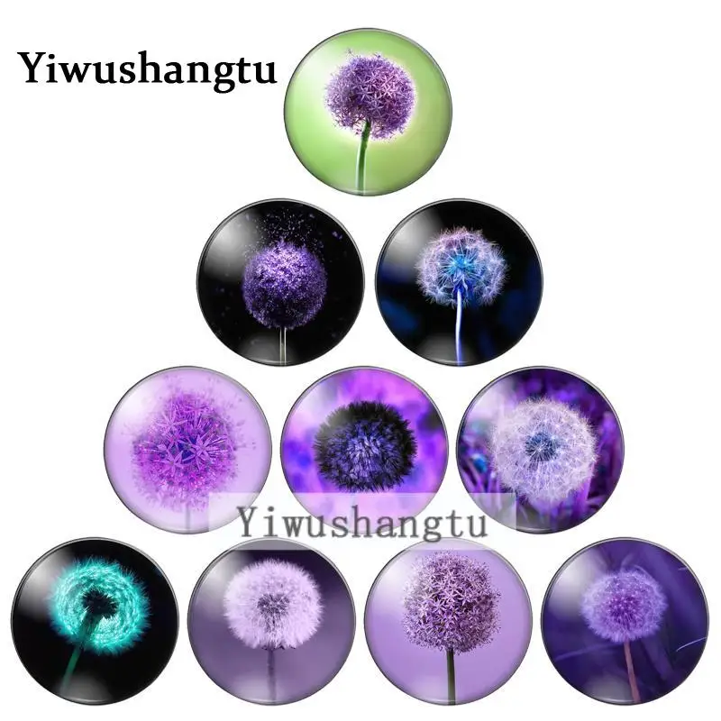 Fashion colourful dandelion 10mm/12mm/18mm/20mm/25mm Round photo glass cabochon demo flat back Making findings ZB0543