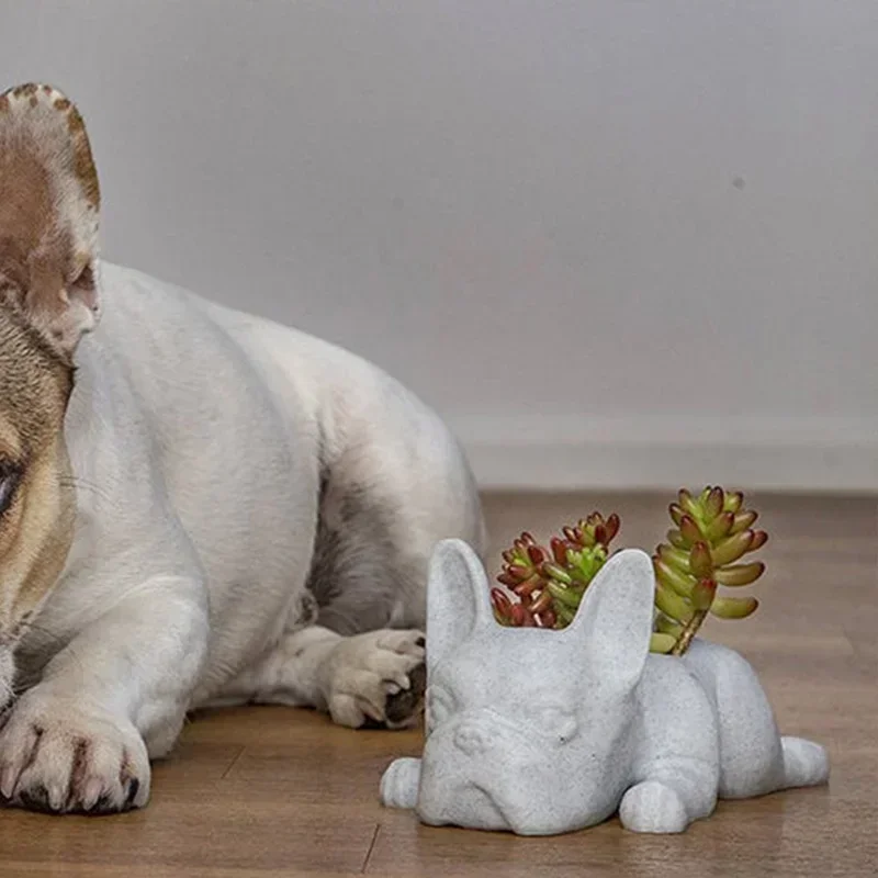 جرو تمثال زارع الراتنج زخرفة العصارة اناء للزهور المنزل مكتب سطح المكتب حديقة الديكور 10x5x3.5 سنتيمتر #5