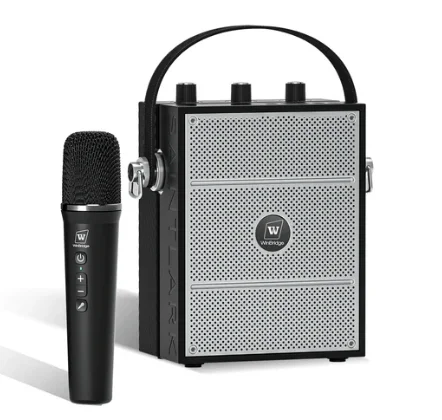 Professional S98 PRO Portable Mini Amplifier System with FM Radio USB Charging Amplifier Wireless l Handheld Plastic Mics