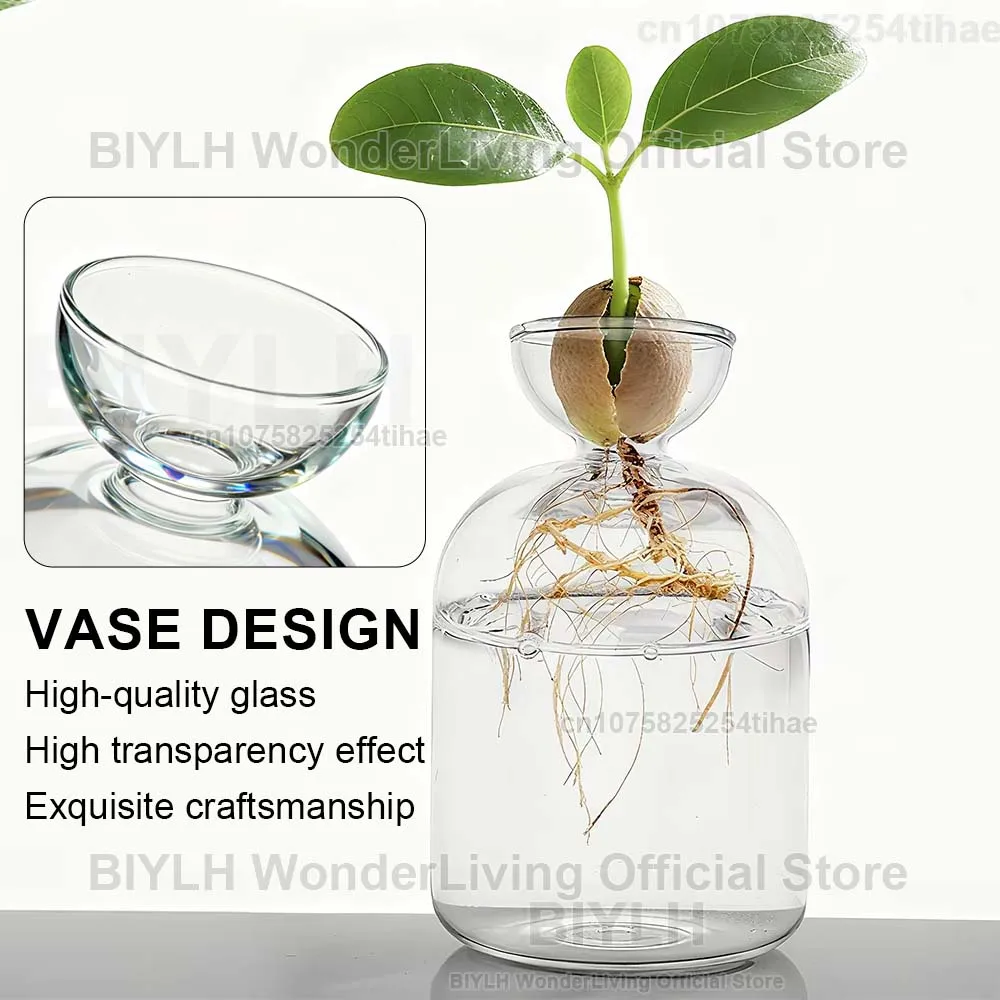 Avocado Seedling Growing Bottle Hydroponic Transparent Glass Vase Plant Growing Glass Seedling Kit Home Decor Flower Arrangement