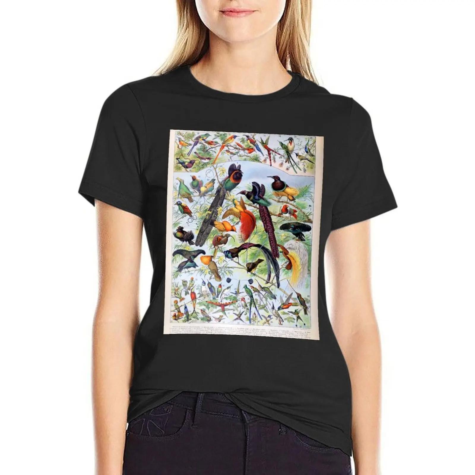 Adolphe Millot - Oiseaux B - French vintage poster T-Shirt funny funnys plus size tops cute t-shirts for Women