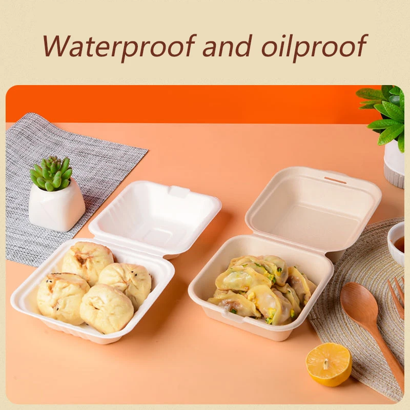 10pcs disposable lunch box cake box food storage containers puff tray biodegradable microwaveable burger bento box Kitchenware