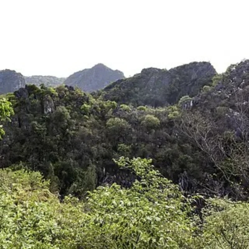 

GEPRC ELRS Nano 915M PA500 Receiver Suiable PA Chip 500mW 25Hz 200HzDIY RC FPV Quadcopter Longrange Freestyle Drone Parts