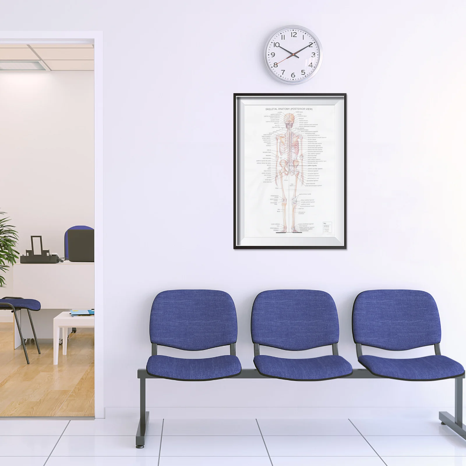 Cartaz de anatomia humana grande sistema esquelético papel kraft para decoração de festa em casa presente de ensino