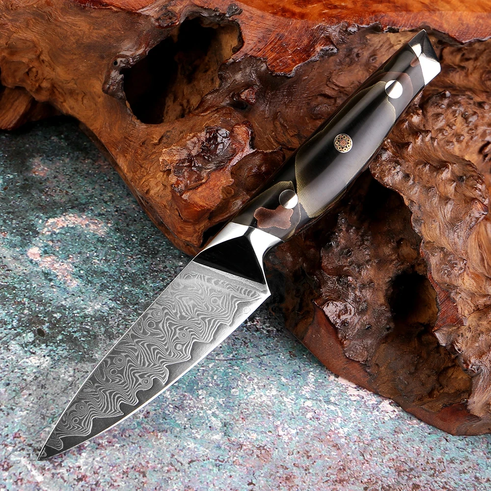 

Lightweight and Safe 3.5-Inch Fruit Knife 67-Layer Damascus Steel Peeler Slices Apples and Oranges Kitchen Utility Knife